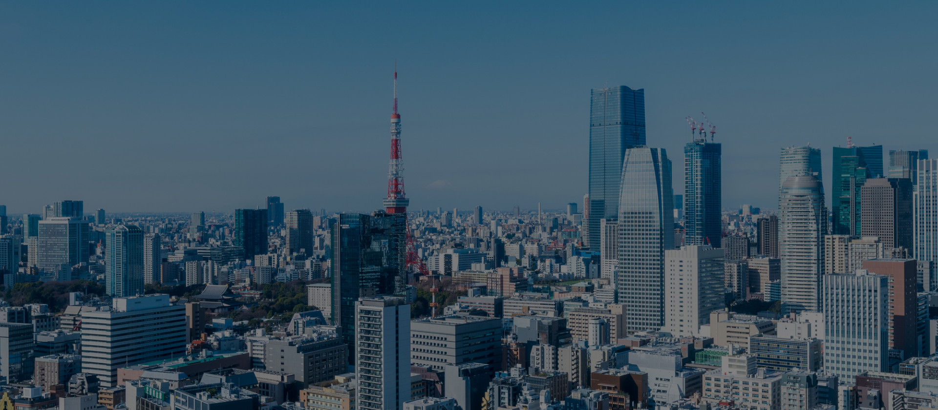 あなたの不動産の価値を最大化